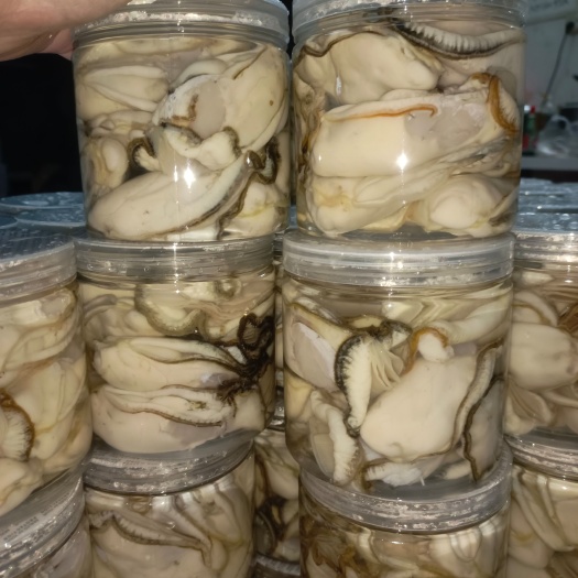 佛山精品生蚝肉，大量承接酒楼，电商，火锅店商讨合作