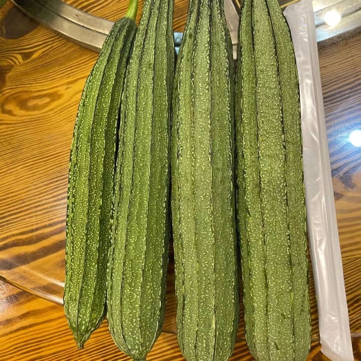 金龙大肉花点丝瓜种籽子特厚肉耐热棱角丝瓜种子春秋大田蔬菜种孑