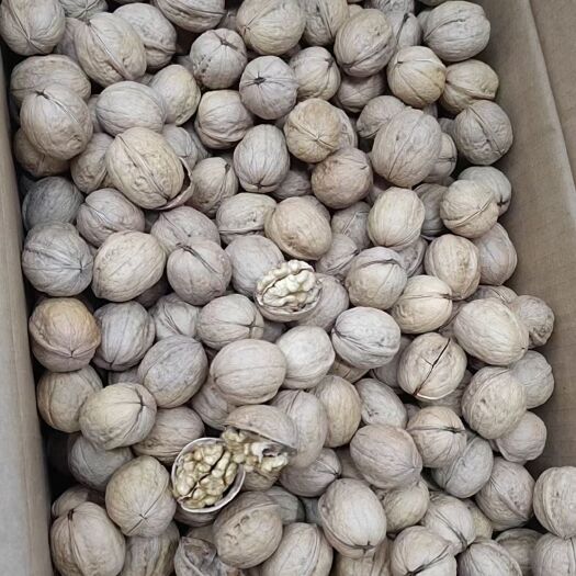 新疆薄皮核桃185