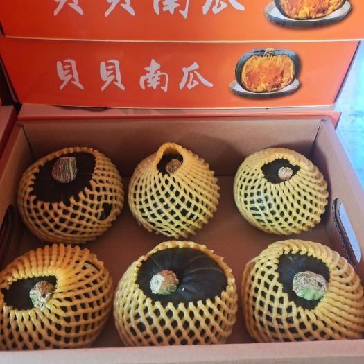 贝贝南瓜