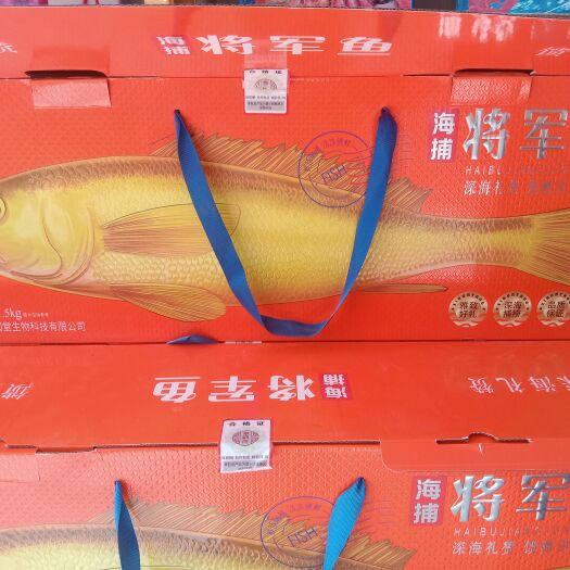 滨州礼盒装海捕将军鱼团购电商！！！！！！！！