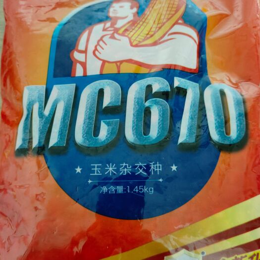 MC670，国审矮秆抗倒，轴细耐密米质好，一袋一码原装正品。