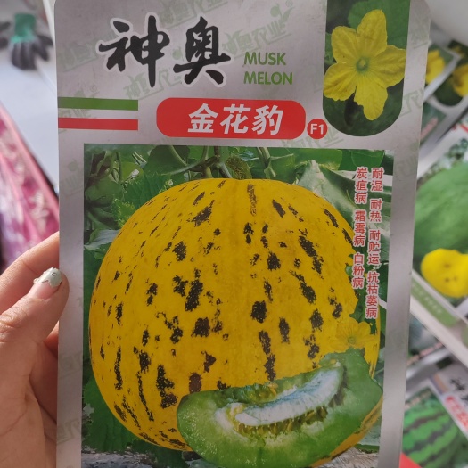 扶沟县神奥金花豹甜瓜种子早熟抗病绿肉口感好产量高抗逆性强