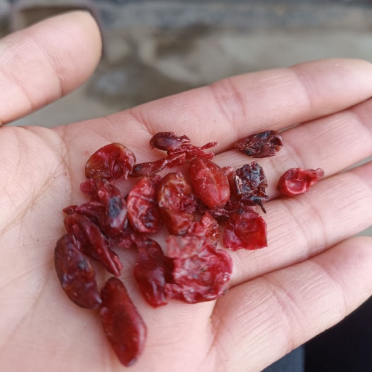 山茱萸枣皮色好无流产地批发新货产新大山药材产地直发
