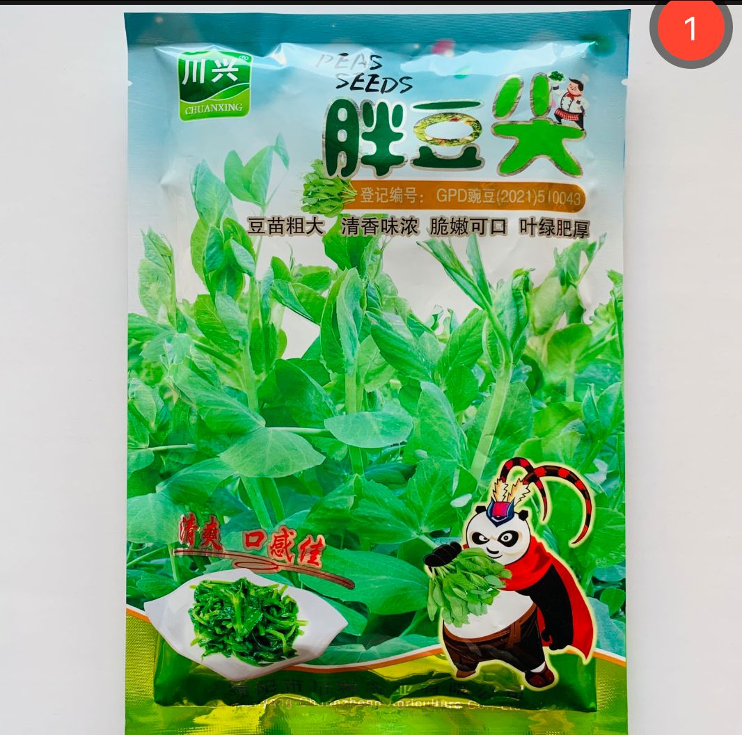 沭阳县豌豆种子豌豆尖种子无须豌豆苗种子芽苗菜水培土培豌豆苗种子包邮