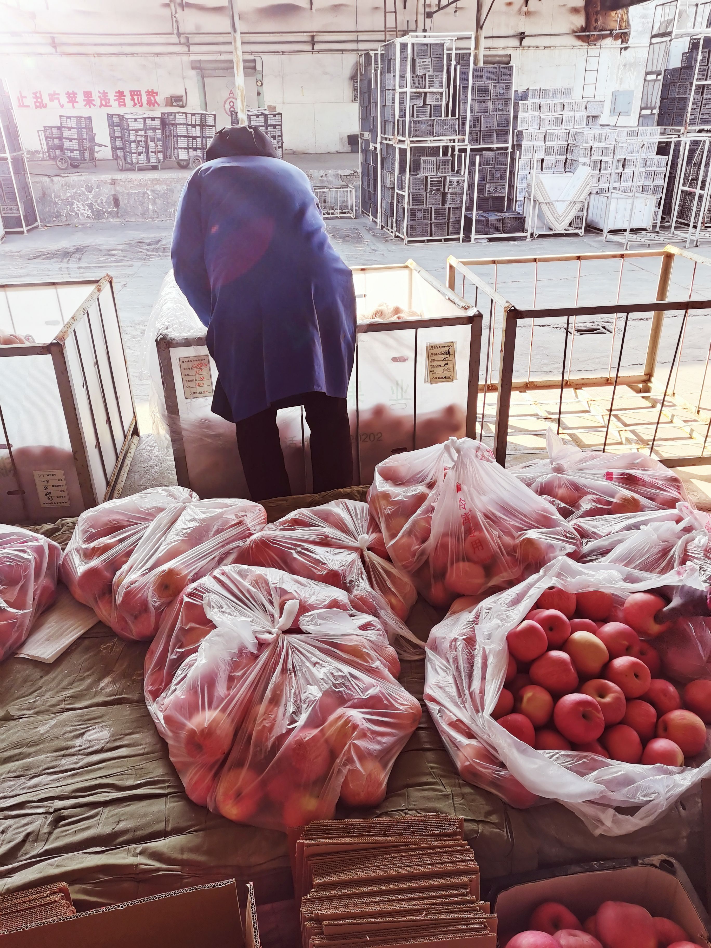 纸代红富士苹果，大量出库