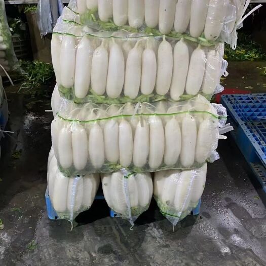 南宁新鲜白萝卜，有中萝卜（一袋约55斤）、小萝卜（一袋约33斤）