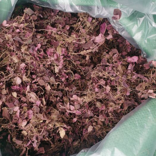 威信县纯风柜斗草，水洗，杂志干净，自然烘干，不不要钱