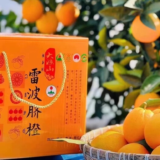 雷波县雷波脐橙