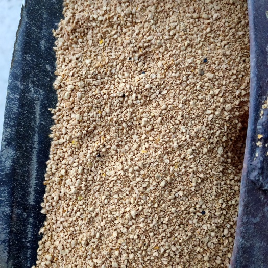 济南豆粕饲料