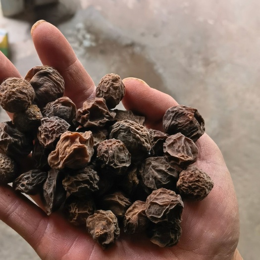 盐源县酸梅乌梅干货大货  质量保证。