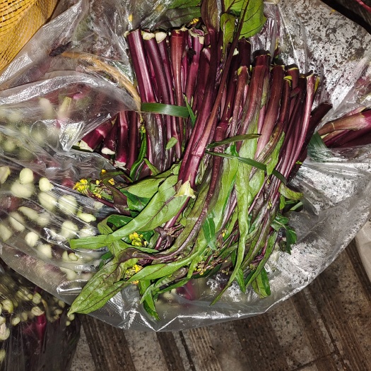 福泉市红菜苔