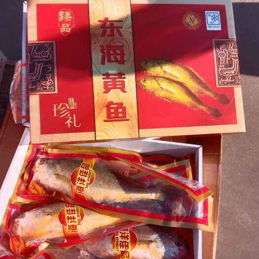 滨州东海黄鱼