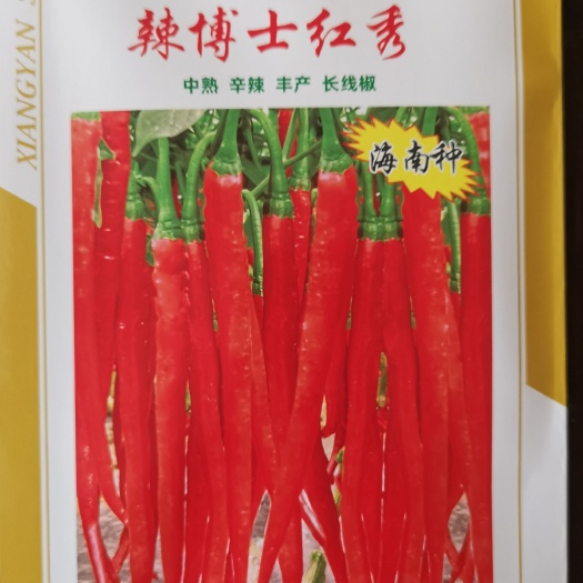 成都辣椒种子红秀，中熟辣椒