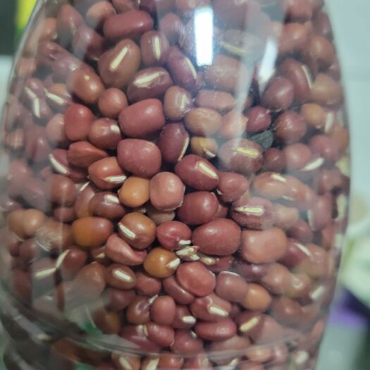 盐城红小豆