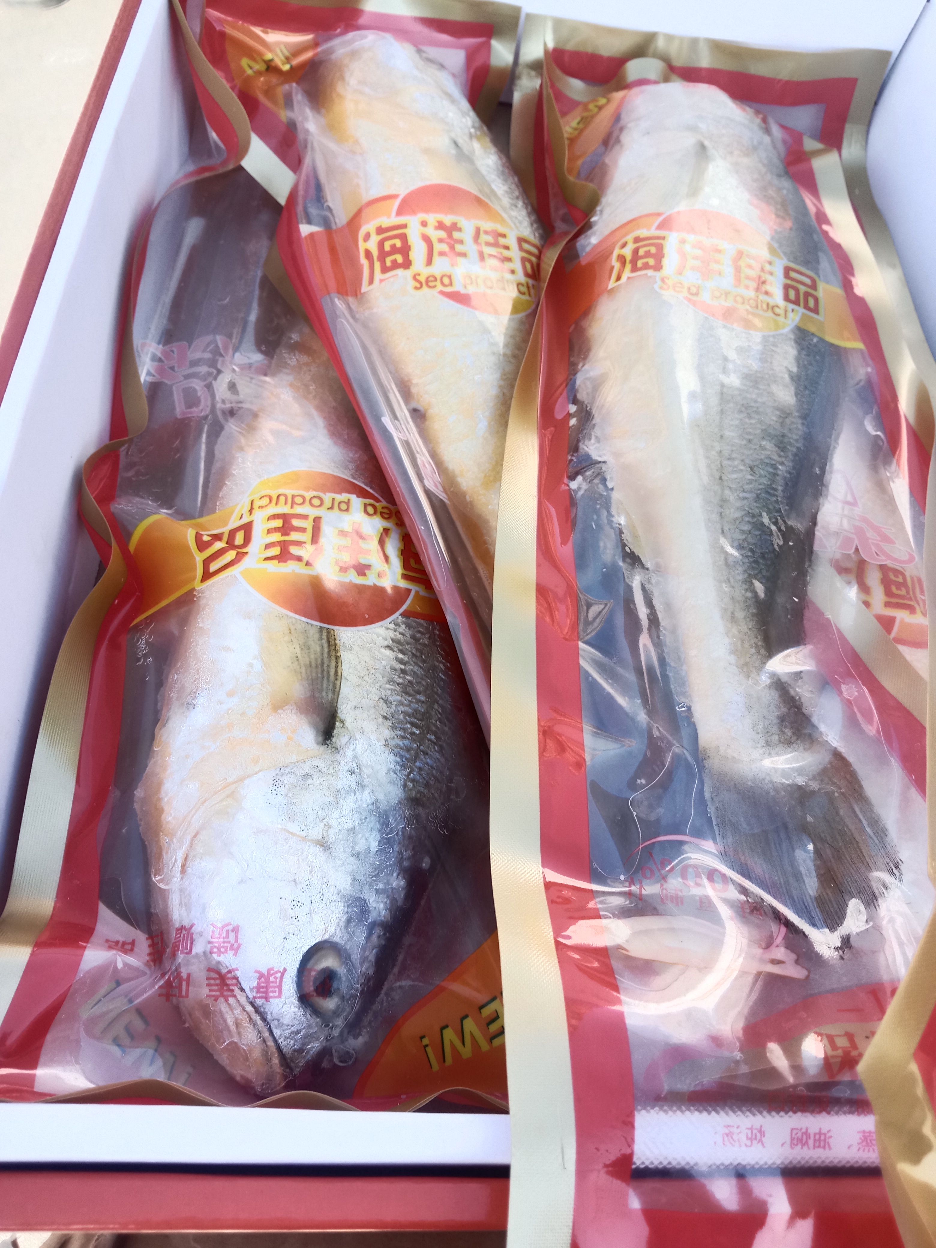 东海黄鱼