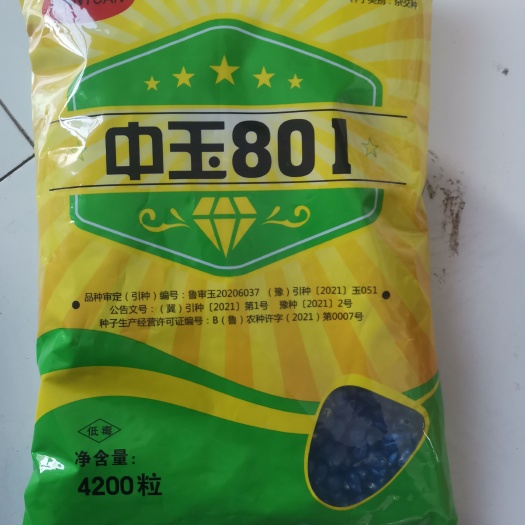 武城县好种子，高抗倒伏，高抗盐碱，高抗高温花粒，不突尖，高抗南方锈