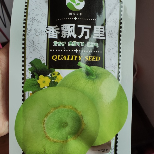 南昌香飘万里甜瓜种子，10克