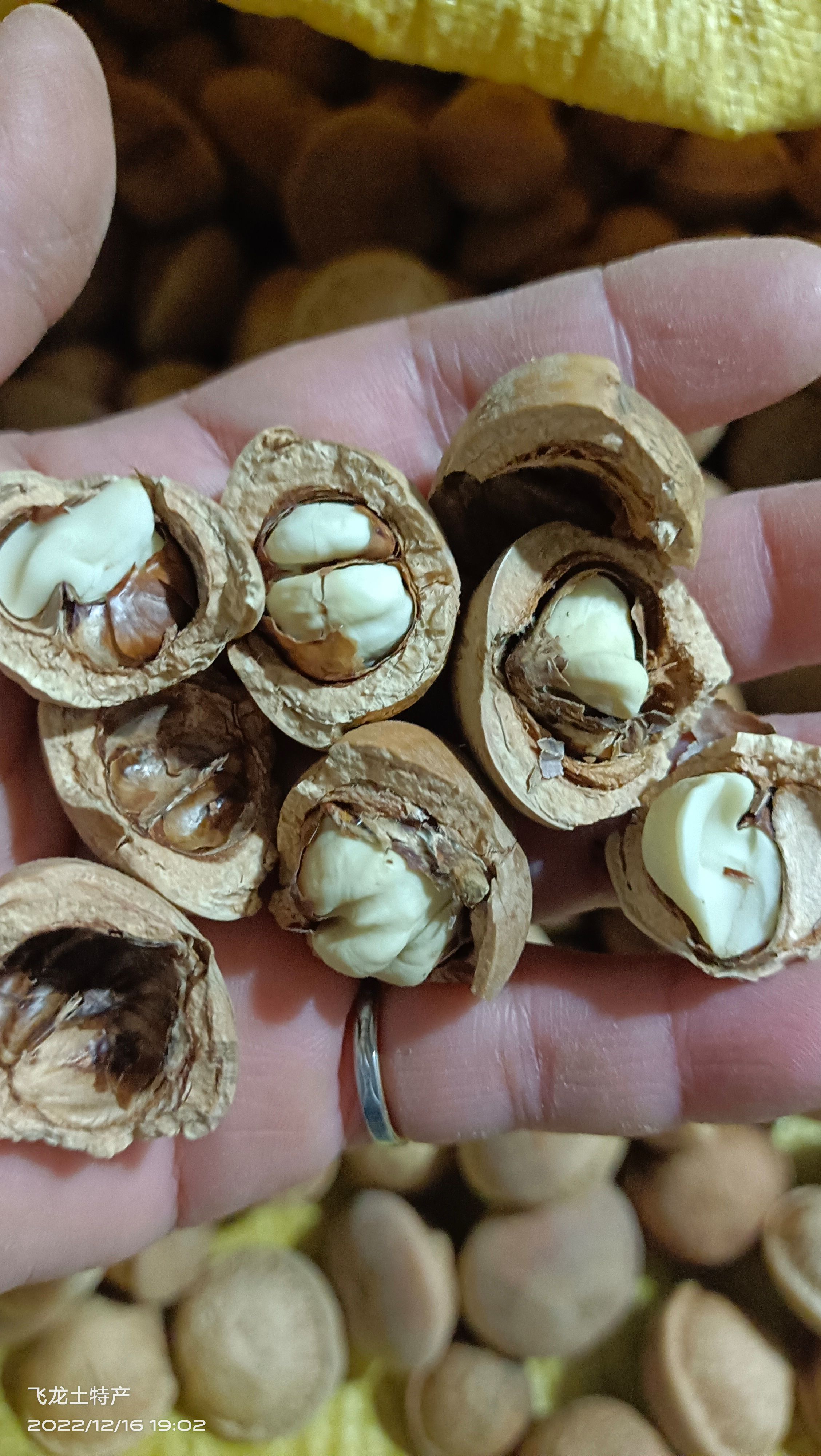 风流果(马古叠)粒粒有肉，簿壳，产地货源，一百斤起可议价