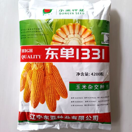 武汉东单1331玉米种子 正品东单1331玉米种子高产抗病抗倒伏
