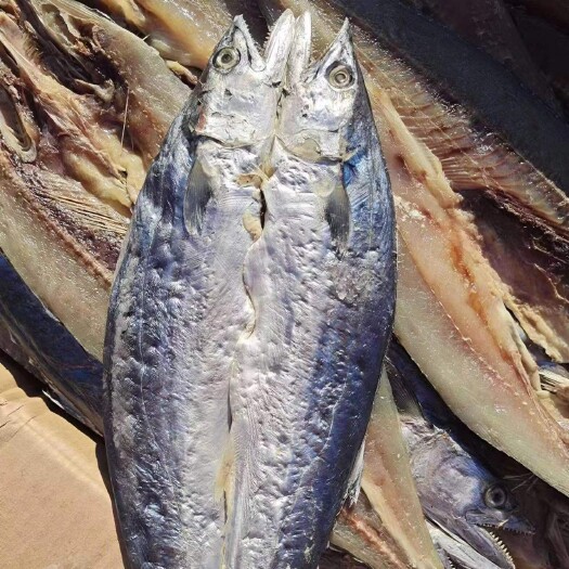 燕尾鲅鱼干，开背去内脏的！渤海湾腌制咸鱼干