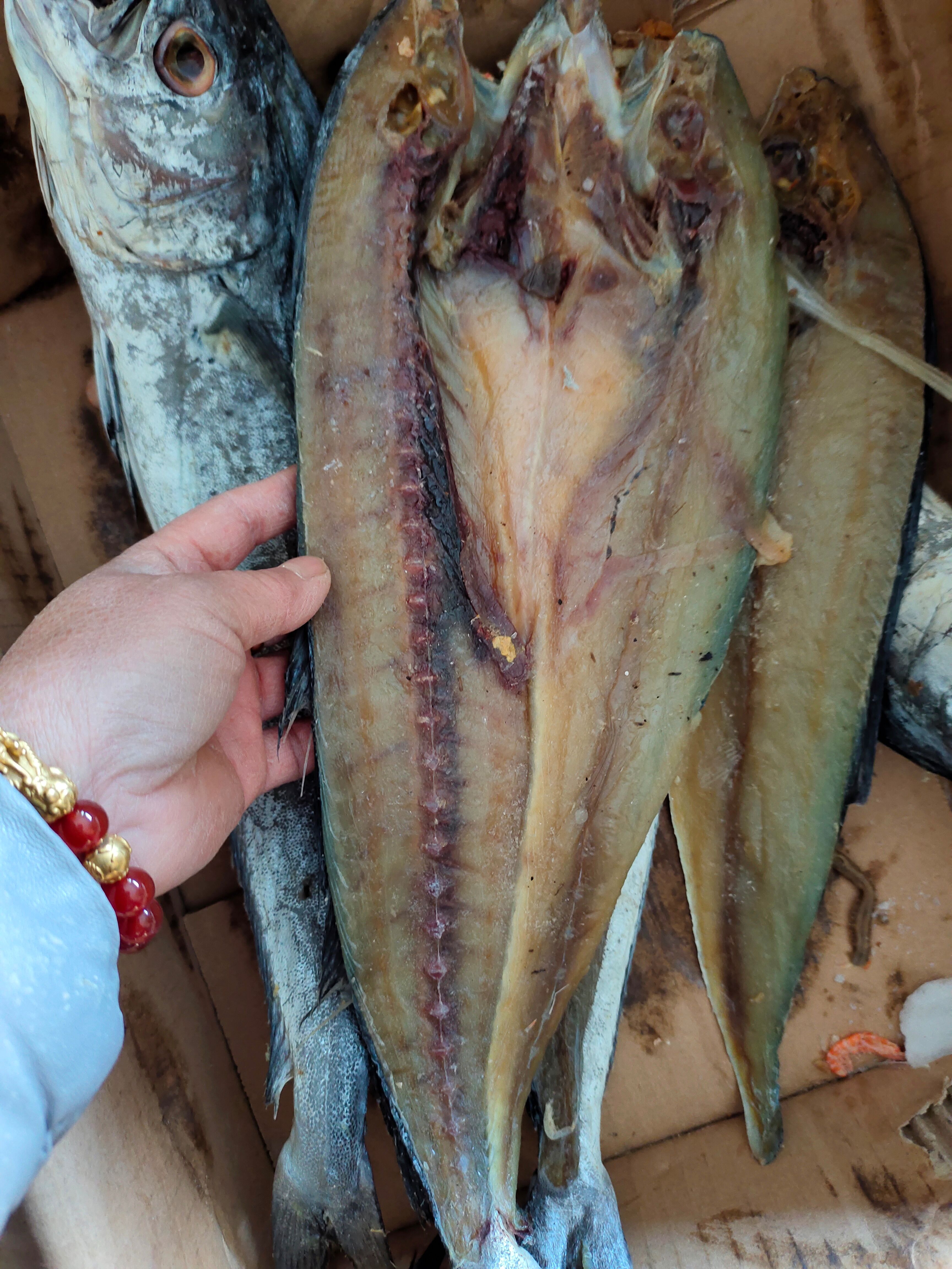 咸刀鲅鱼咸鱼干！开背去内脏的！新货