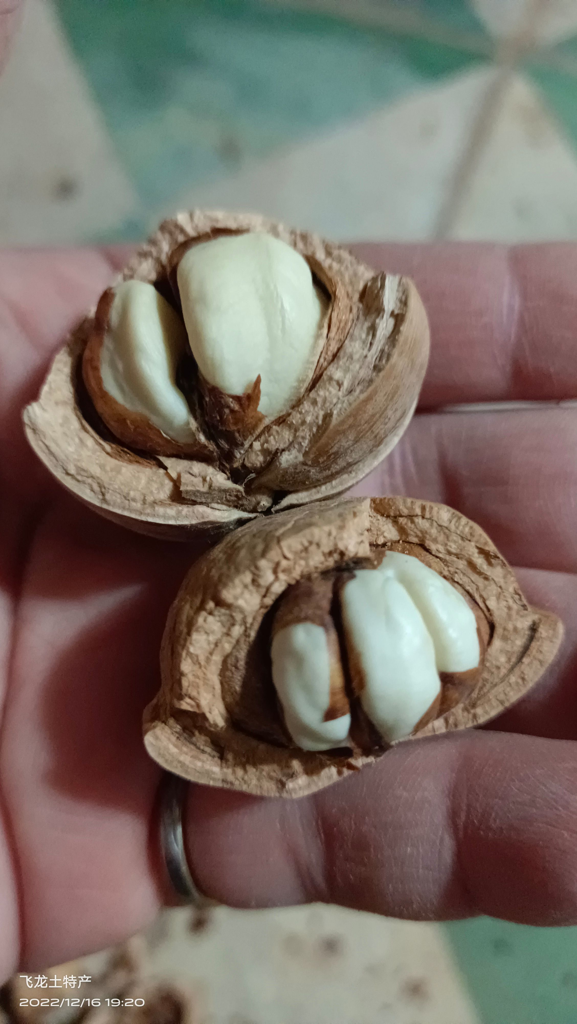 风流果(马古叠)粒粒有肉，簿壳，产地货源，一百斤起可议价