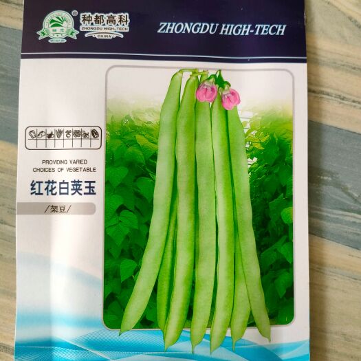湘乡市架豆种子 四季豆种子 早熟嫩绿白菜豆种子30克