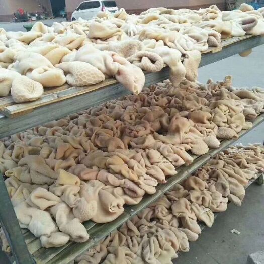 新鲜冷冻清真十成熟羊肚毛重20斤装适用于饭店羊肉汤馆