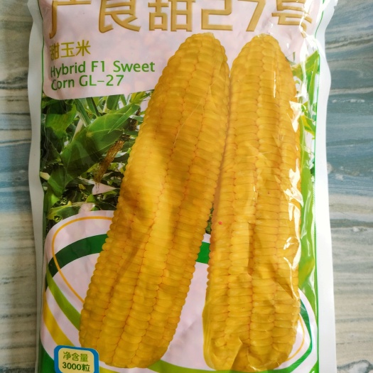 湘乡市鲜食甜玉米种子 广良甜27号玉米种子 3000粒
