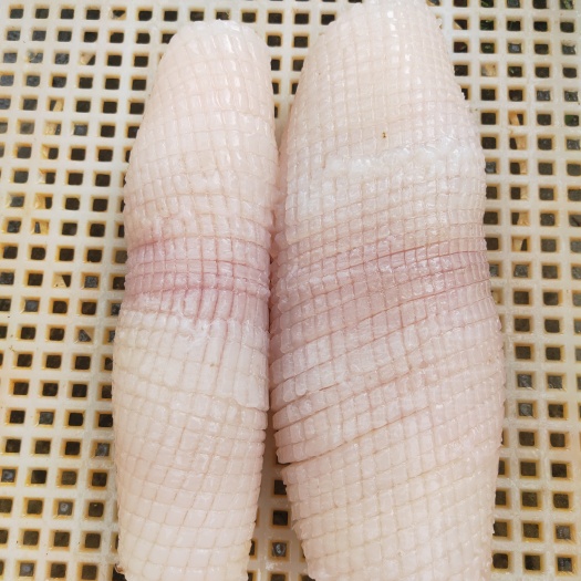 成都鱿鱼花