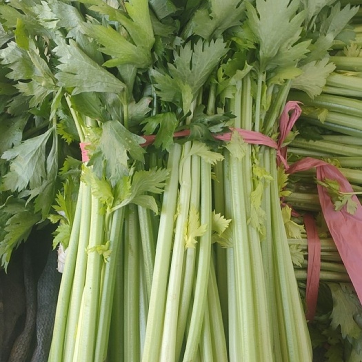 玻璃脆芹菜