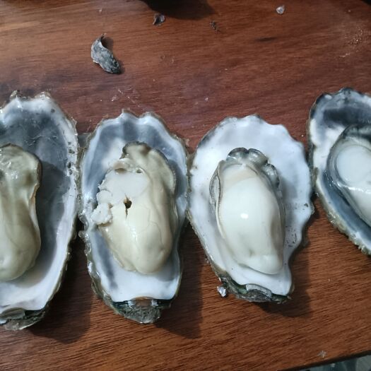 乳山市乳山本地，物美价廉