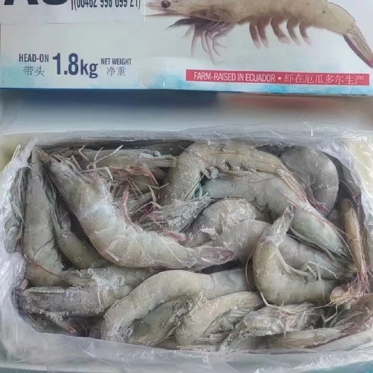 一手货源皇冠盐冻虾质量杠杠滴