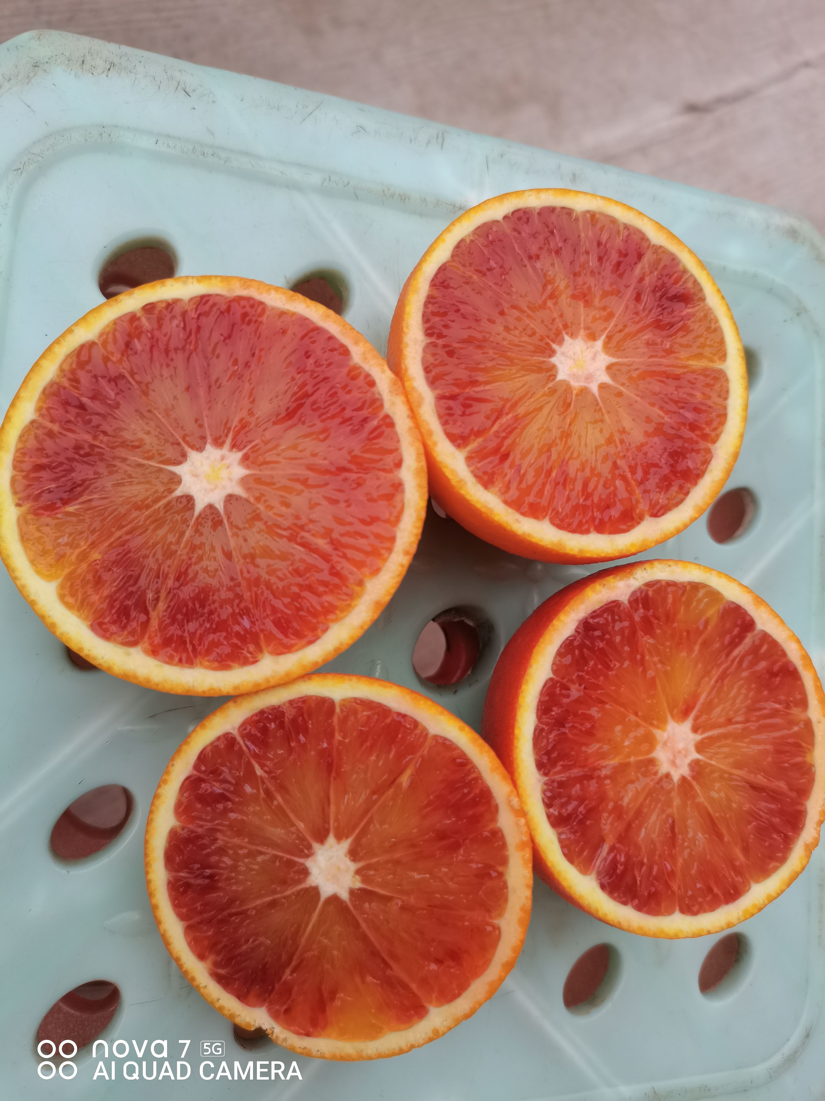 麻阳苗族自治县塔罗科血橙皮薄肉多爆汁，已经上颜色，欢迎联系