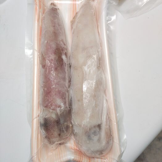 琼海市手钓鱿鱼-长管鱿鱼-小管鱿鱼批发