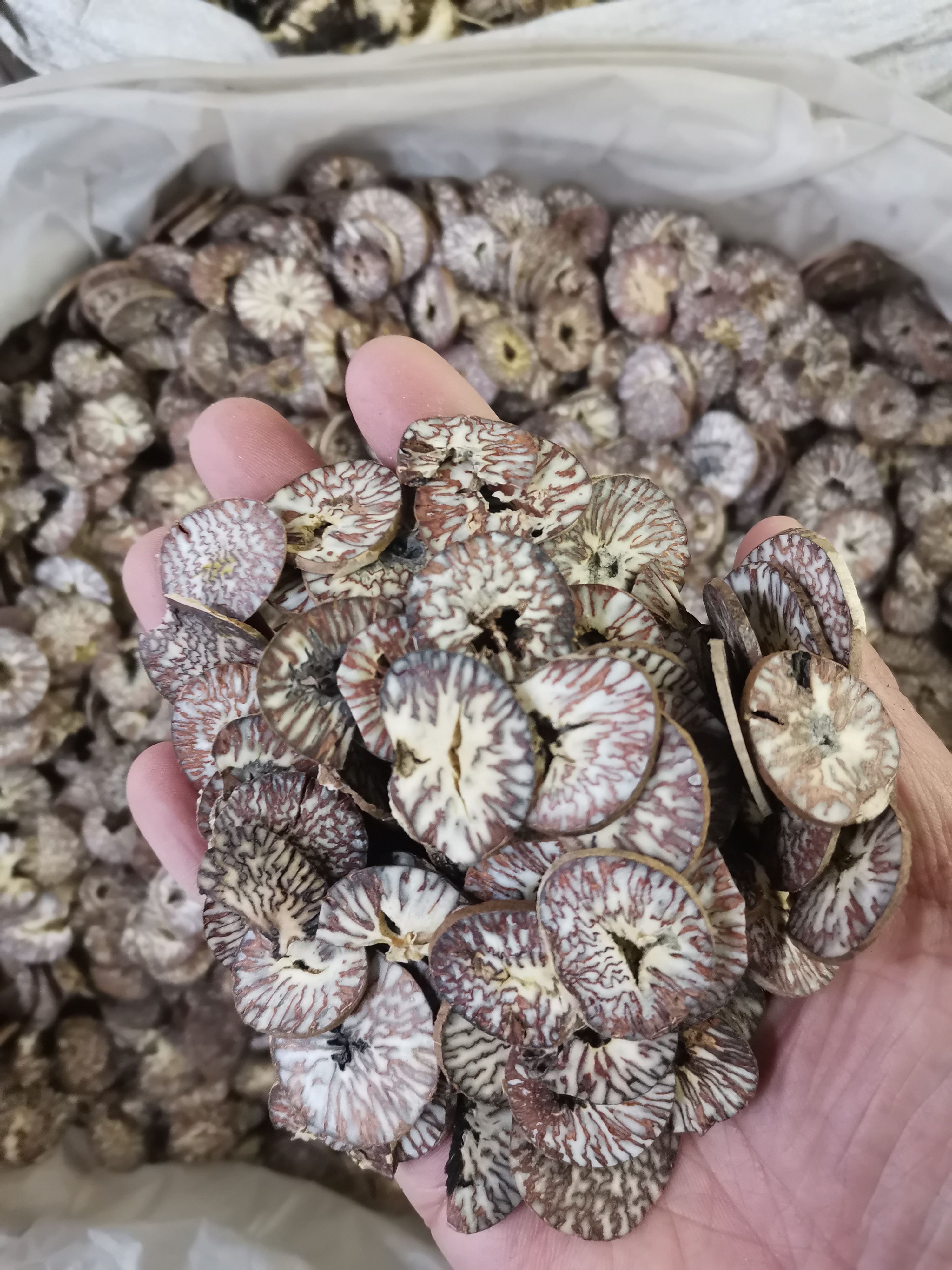 亳州20公斤起批 槟榔 大白片 正品无硫槟榔【假一赔十】
