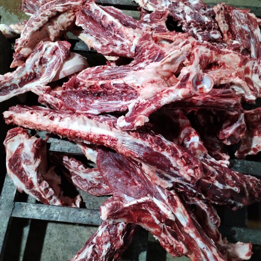 宁津县蝎子骨，驴蝎子，马蝎子