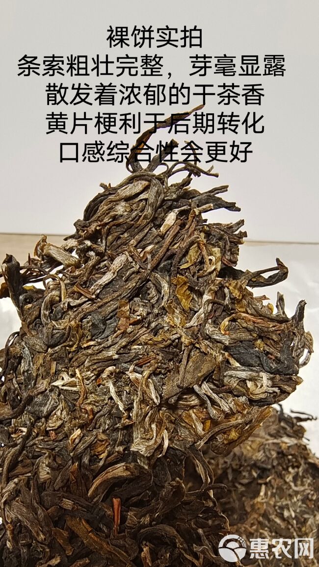 2022年头春纯手工古树普洱茶（生茶）357g包邮