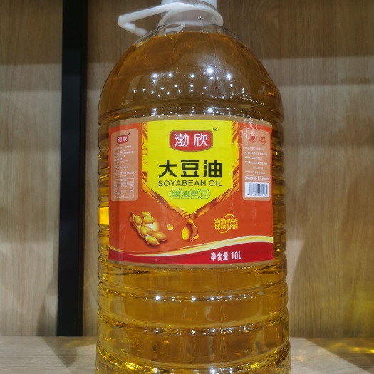 石家庄10L一级转和非转大豆油、花生油