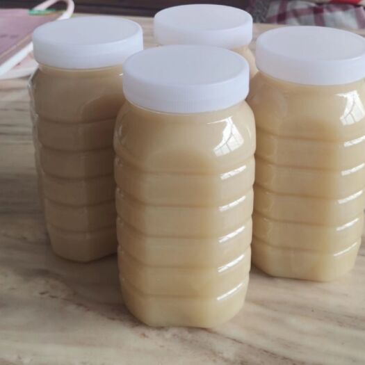苍梧县土蜂蜜 蜂蜜 油菜花蜜 百花蜜中药槐蜜 农家自家养殖生产销
