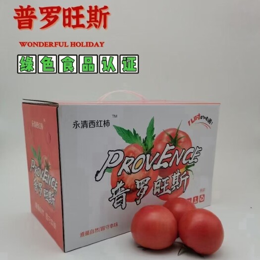 永清县玖丰普罗旺斯西红柿