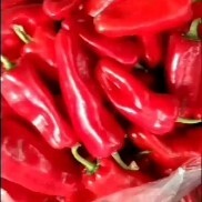 淮安精品红椒