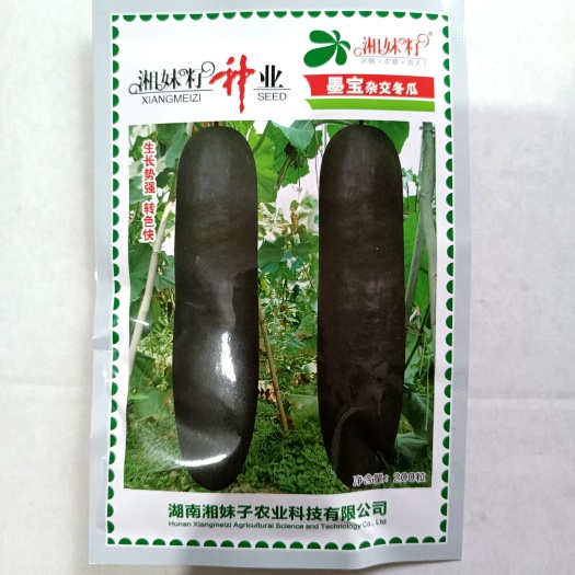 武汉湘妹籽墨宝杂交冬瓜 黑皮冬瓜种子长柱形 肉质致密瓜长95CM