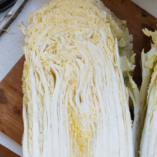郸城县黄心大白菜