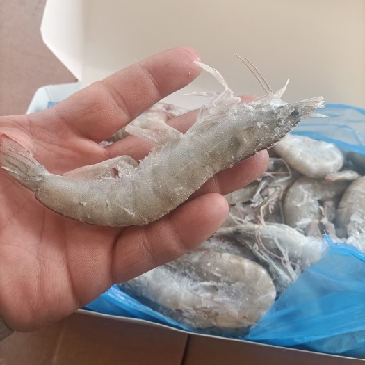 虾皇30～40