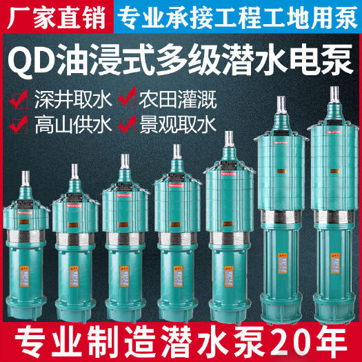 临沂QD多级高扬程潜水泵农用220V三相农业灌溉深井一寸两寸水泵