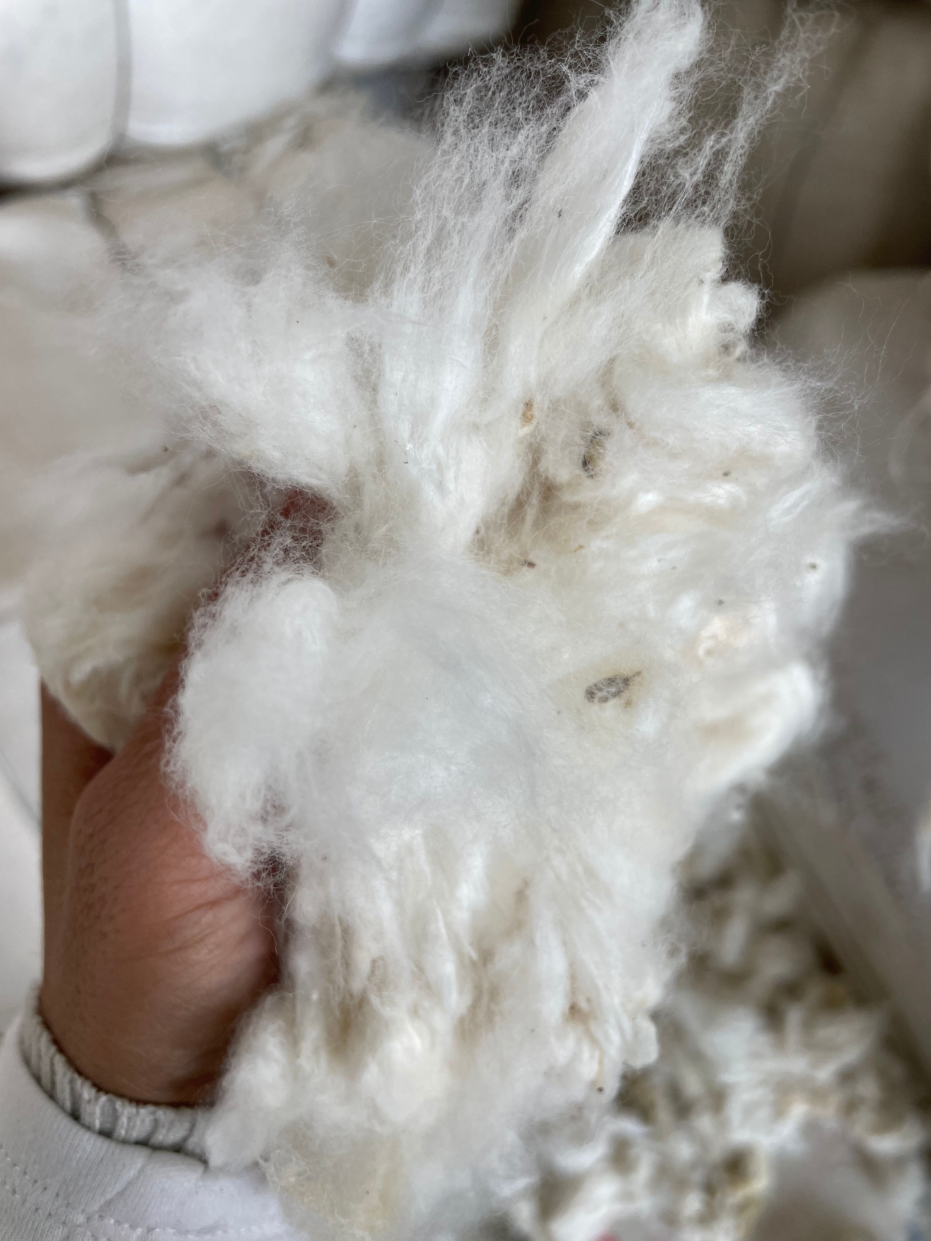 云县棉花批发价格优惠