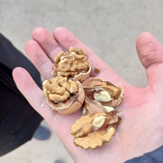 合阳县核桃  薄皮