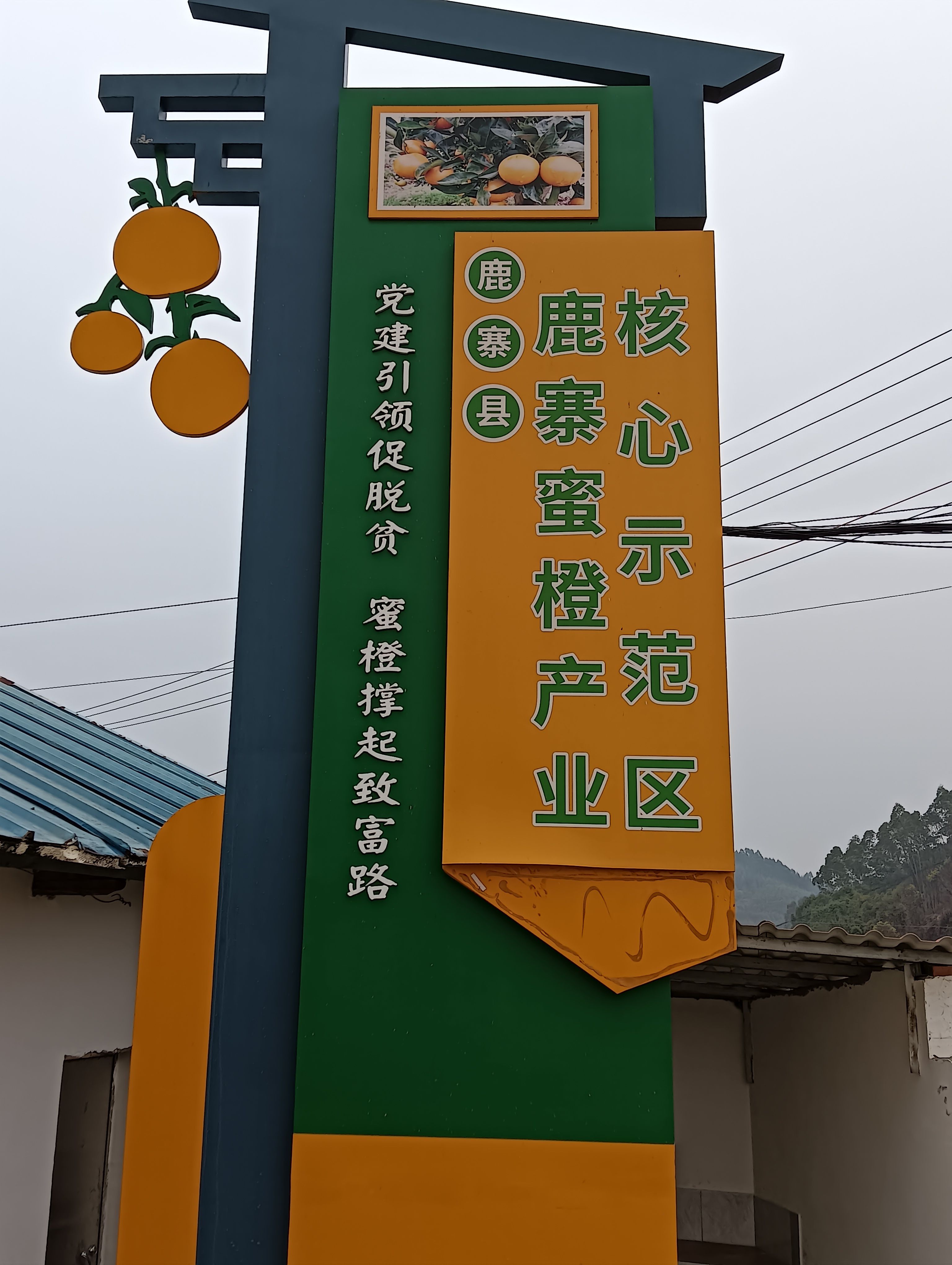 無核密橙